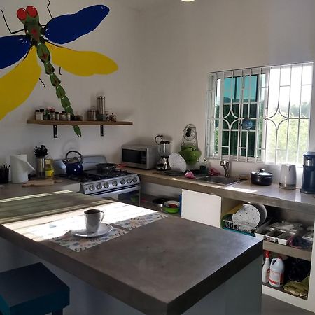 מלון טרזר ביץ' Dragonfly מראה חיצוני תמונה
