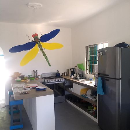 מלון טרזר ביץ' Dragonfly מראה חיצוני תמונה