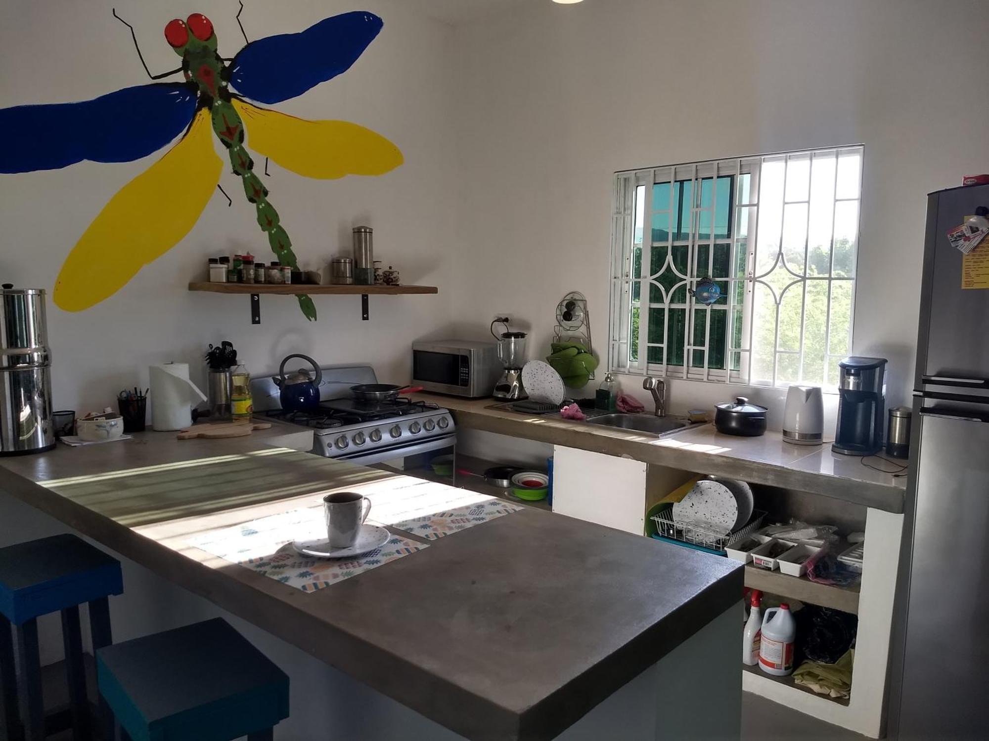 מלון טרזר ביץ' Dragonfly מראה חיצוני תמונה